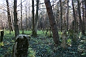 Rostoczek 11.2008 382